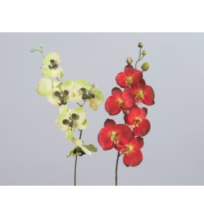 DECO STENGEL ORCHIDEE 75CM ROOD AUBERGIN