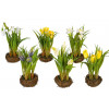 VOORJAARSBLOEMEN 20CM ASSORTI NESTVORM