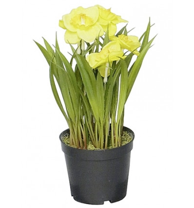 BLOEM GELE NARCIS 23cm