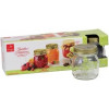 SET 4 BOKALEN 25CL MET DEKSEL QUATTRO STAGIONI BORMIOLI ROCCO