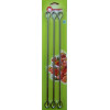 SET 6 BROCHETTEN SPIESEN 35CM CHROOM