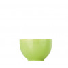 ONTBIJTKOM CEREAL SUNNYDAY APPEL GROEN APPLE GREEN THOMAS
