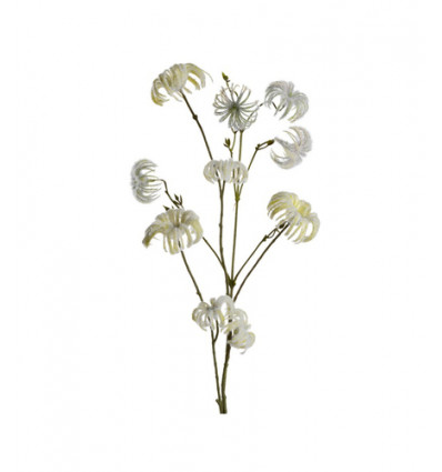 BLOEM DECORATIE SCABOSIA 80CM BEIGE