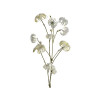 BLOEM DECORATIE SCABOSIA 80CM BEIGE