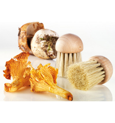 CHAMPIGNON BORSTEL HOUT TELLIER CHAMPION PADDESTOEL