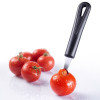 TOMATENBOOR UITHOLLEPEL GENTLE WESTMARK