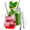 4 RIETJES INOX 18CM EN BORSTELTJE GEFU FUTURE STAINLESS STEEL STRAW