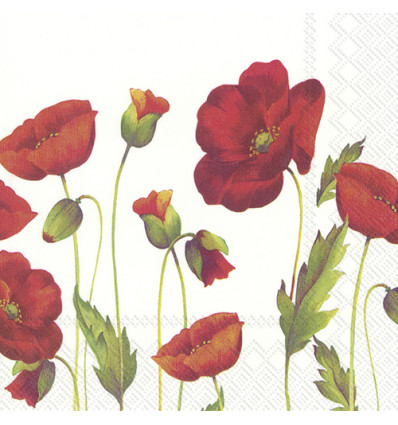 20 SERVETTEN 33x33cm POPPY WHITE IHR
