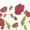 20 SERVETTEN 33x33cm POPPY WHITE IHR