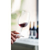6 SOMMELIER WIJNGLAZEN 21,5CL BORMIOLI WIJNPROEFGLAS D.O.C.