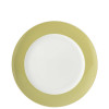 PLAT BORD 27CM SUNNY DAY AVOCADO GREEN THOMAS