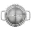 5DELIGE SET KOOKPOTTEN TRUEFLOW ZWILLING