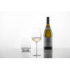 6 RIESLING GLAZEN VERVINO 0 MP SCHOTT ZWIESEL VERBELLE 406ML