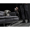 STEELSTOFZUIGER RH99F1 XFORCE ANIMAL 230W,knikbaar,80min,automat.snelheidreg