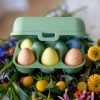 BEWAARDOOS 6 EIEREN KOZIOL GROEN EIBOX voor 6 eieren EGGS TO GO MINI LEAF GREEN