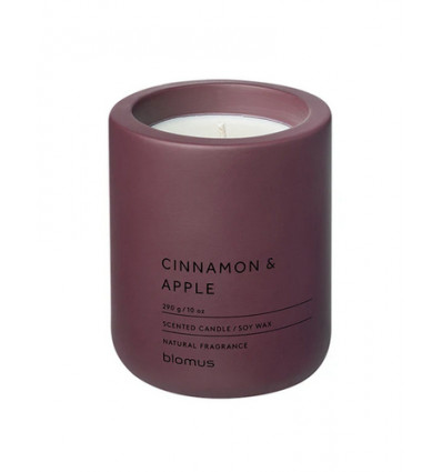 GEURKAARS FRAGA CINNAMON APPLE BLOMUS