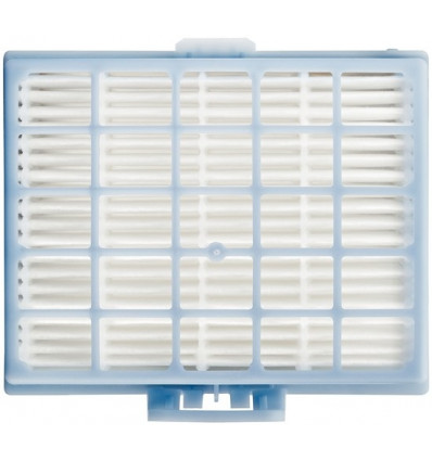 ALLERGIE HEPA FILTER BOSCH BBZ156HF BGL20/25/31/4/35 BGN2 BGB2 GL40S GS10/20