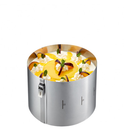 TAARTRING INOX VERSTELBAAR H15CM D16-30CM TONTO CLIP GEFU