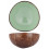 KOM KOKOSNOOT MUNTGROEN D14CM COCOSBOWL