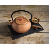 THEEPOT TERRACOTTA GIETIJZER 1.2L TAKAYAMA