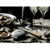 OESTERMES MET HANDBESCHERMER SILICONE LAGUIOLE LUXERY LINE
