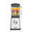 POWER BLENDER 11641 MAGIMIX MINI CHROOM