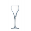 6 FLUITGLAZEN 16CL BRIO ARCOROC CHAMPAGNEGLAS