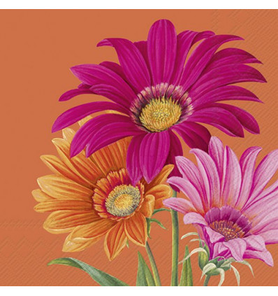 20 SERVETTEN 33x33cm JOYFUL GERBERA IHR ORANGE