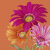 20 SERVETTEN 33x33cm JOYFUL GERBERA IHR ORANGE