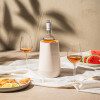 ACTIEVE WIJNKOELER HEXO SAND VACUVIN ACTIVE COOLER WINE RAPID ICE
