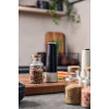 KRUIDENMOLEN ZWART ZWILLING 19CM SPICES