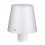 LED LAMP LUCE VOOR FLESSEN WIT