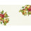 PLACEMAT HOME GROWN APPLES