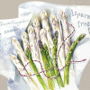 20 SERVETTEN 33x33 SPARGEL IHR