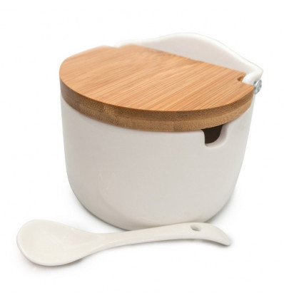 ZOUTPOT PORSELEIN MET LEPEL