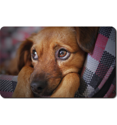 ONTBIJTPLANKJE PUPPY 23.5x14.5cm