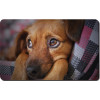 ONTBIJTPLANKJE PUPPY 23.5x14.5cm