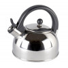 FLUITKETEL 18CM BOSTON INOX 2L