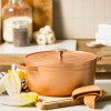 STOOFPOT 26CM DAGELIJKSE KOST KOPERKLEUR 5.3L MET AFNEEMBARE SILICONE GREPEN