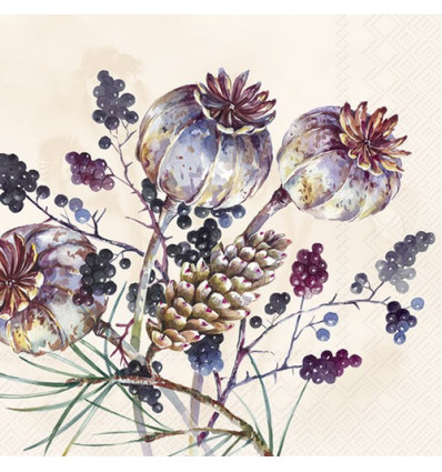 20 SERVETTEN 33x33cm AMARA CREAM