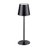 LED LAMP SOLE ZWART 35CM