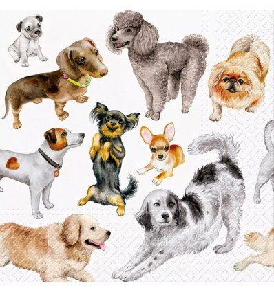 20 SERVETTEN 33x33cm DOGS HAPPINESS PAW