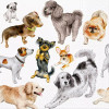 20 SERVETTEN 33x33cm DOGS HAPPINESS PAW