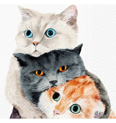 20 SERVETTEN 33x33cm BETTER TOGETHER PAW