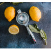 CITRUSPERS MET HANDGREEP VERCHROOMD VIN BOUQUET