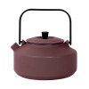 THEEPOT GIETIJZER 0.7L BORDEAUX SENCHA MET FILTER