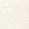 16 SERVETTEN 33x33cm CAMEO CREAM IHR