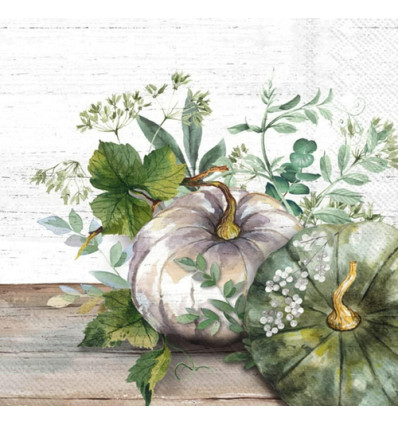20 SERVETTEN 33x33 PUMPKIN GREEN WHITE IHR